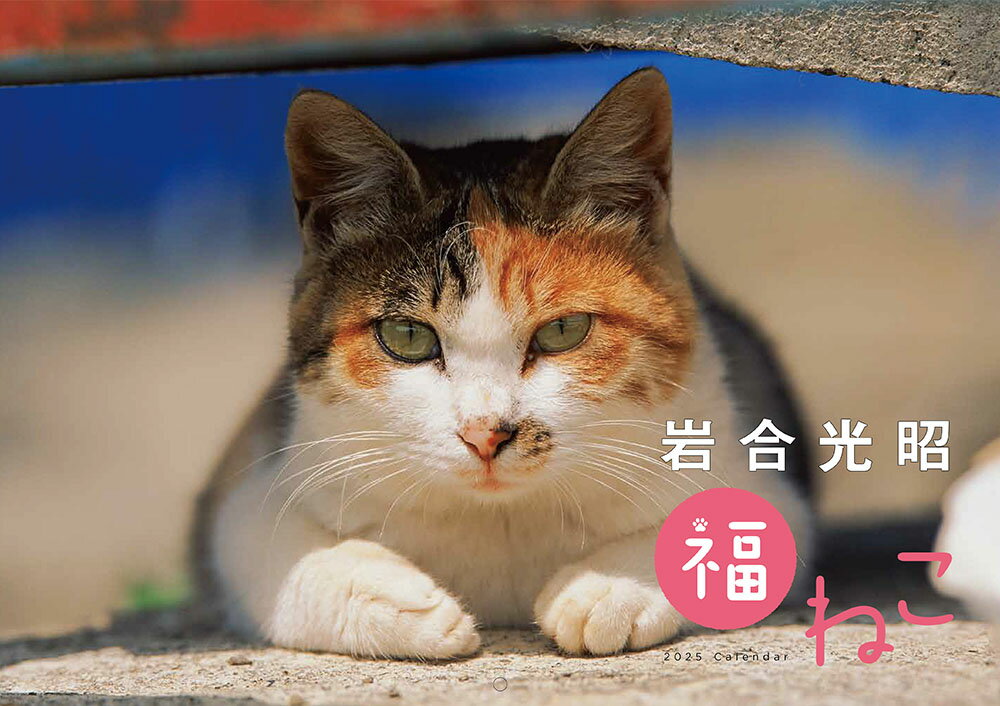 岩合光昭　福ねこカレンダー ２０２５年/神宮館/岩合光昭