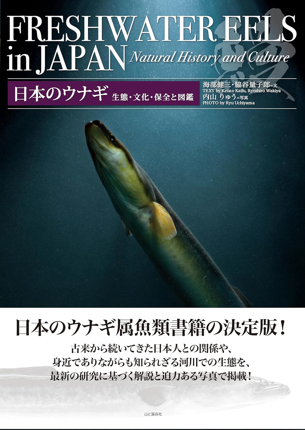 日本のウナギ　生態・文化・保全と図鑑/山と渓谷社/海部健三