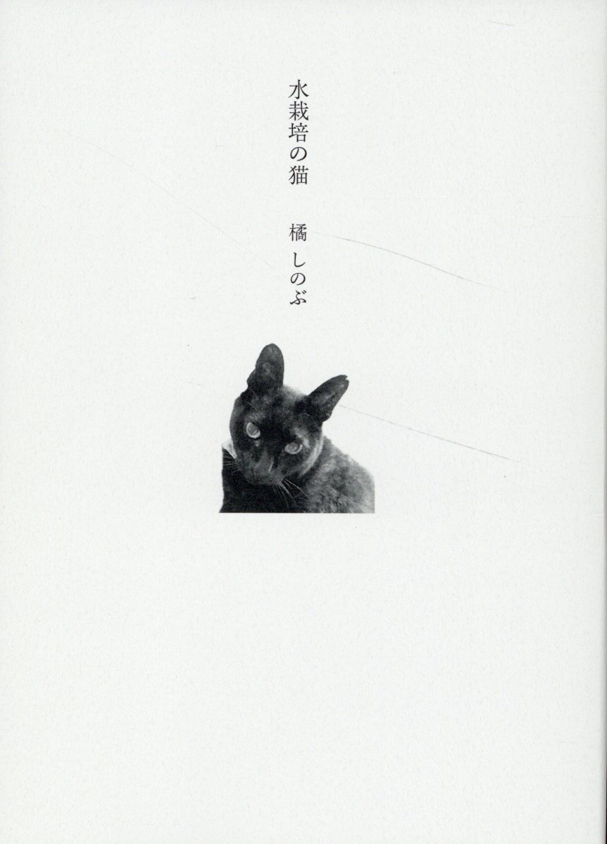 水栽培の猫/思潮社/橘しのぶ