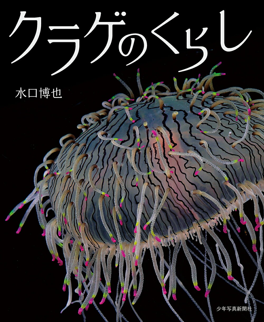 クラゲの図鑑　村井貴史著　北海道大学出版会 ■ DVD付 クラゲの図鑑 村井貴史著 北海道大学出版会 □ DVD付 - メルカリ