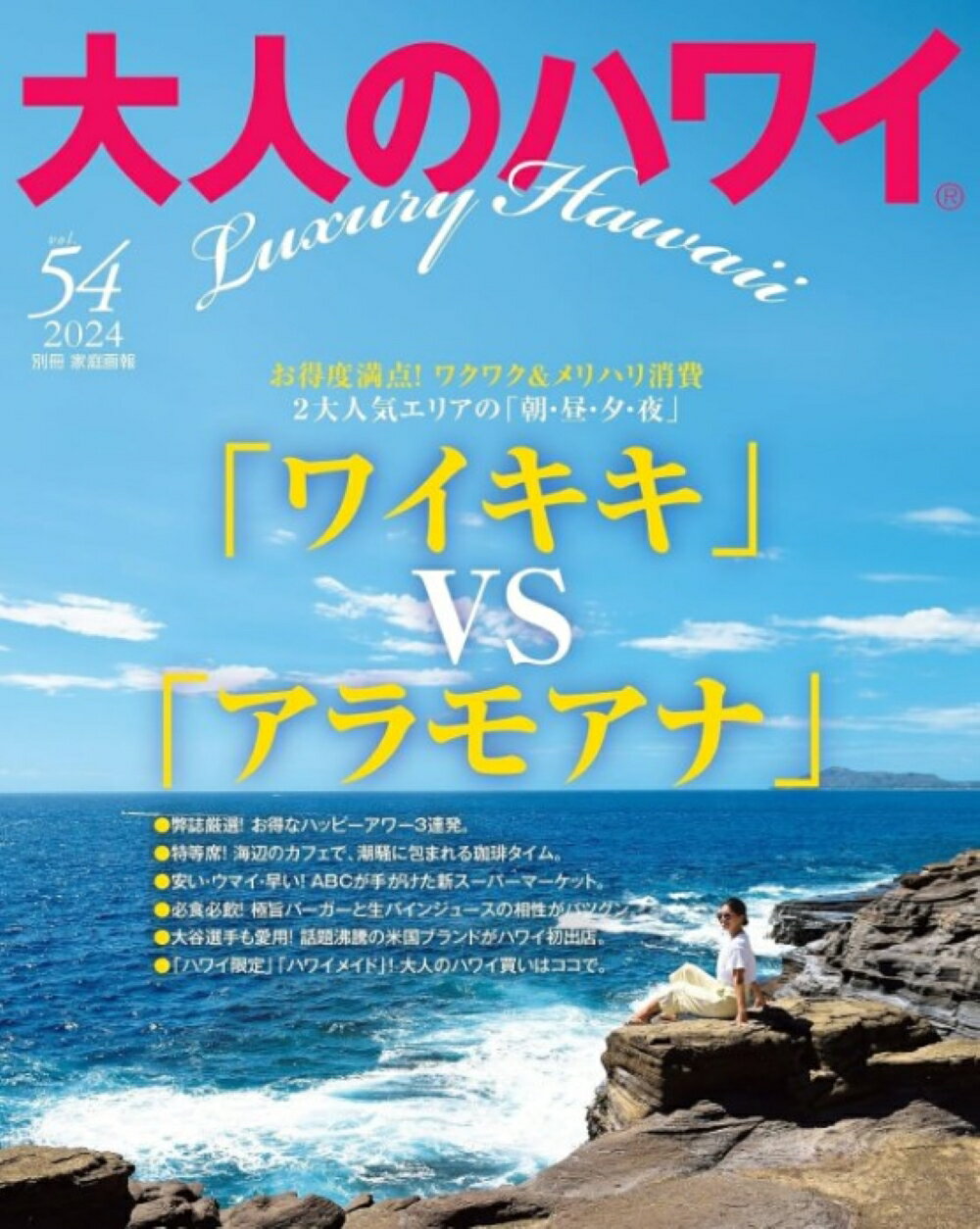 中古】 大人のハワイ vol．5（2007）/LUX WAVE