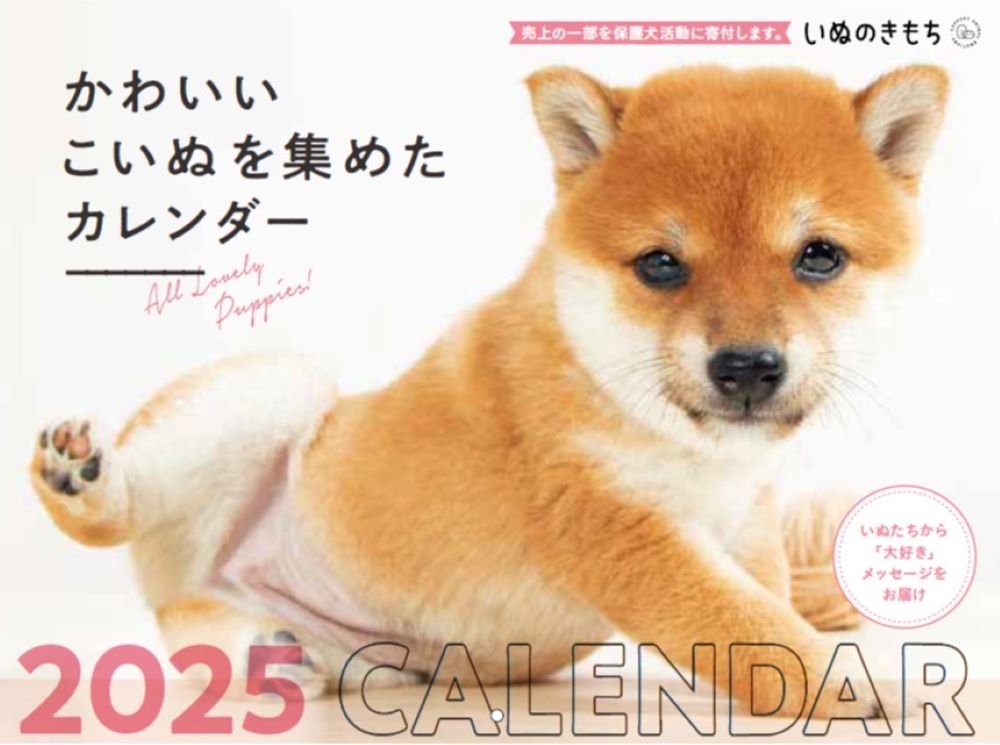 楽天市場】ベネッセコーポレーション いぬのきもち大判カレンダー