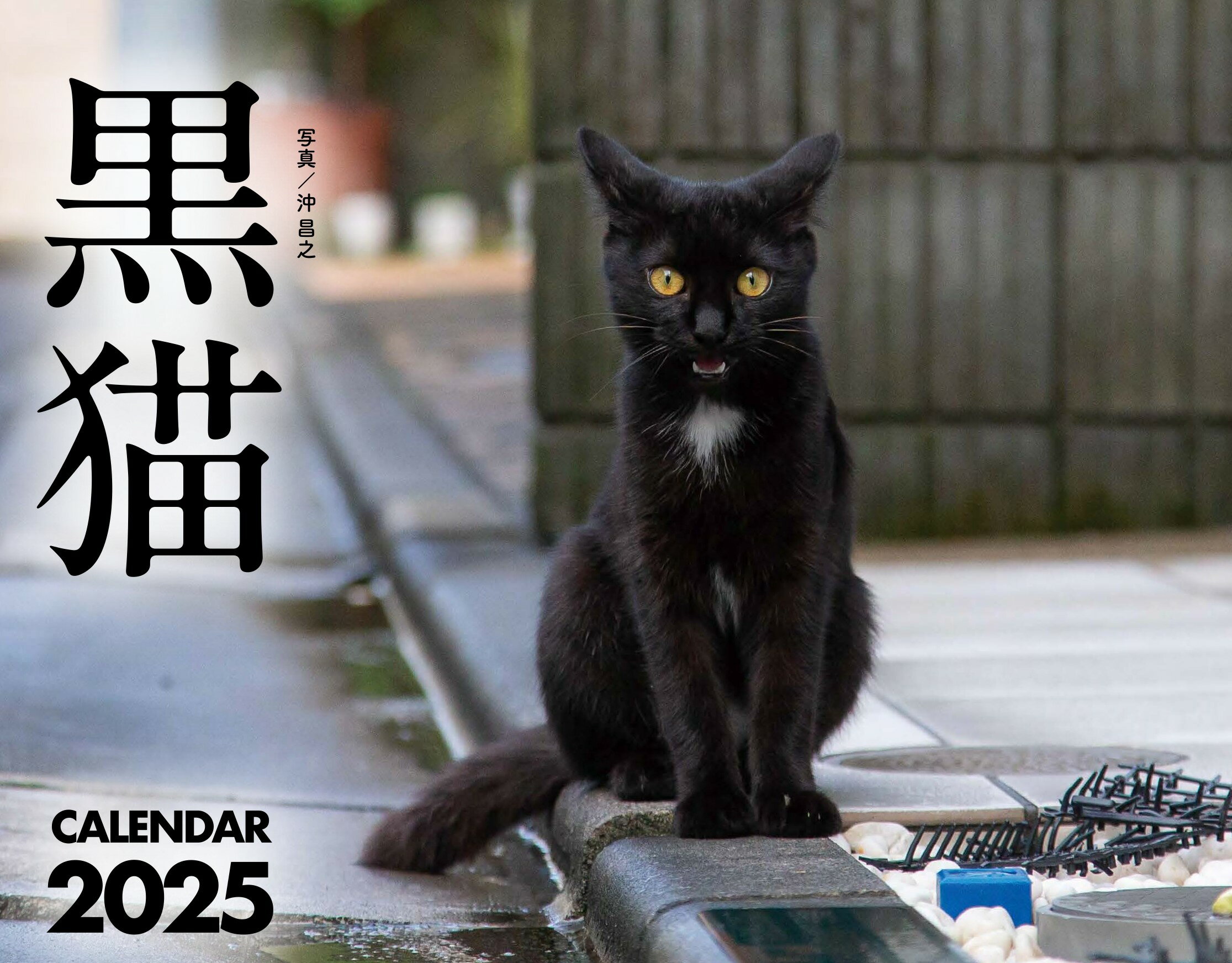 黒猫カレンダー ２０２５/ジ-ウォ-ク/沖昌之