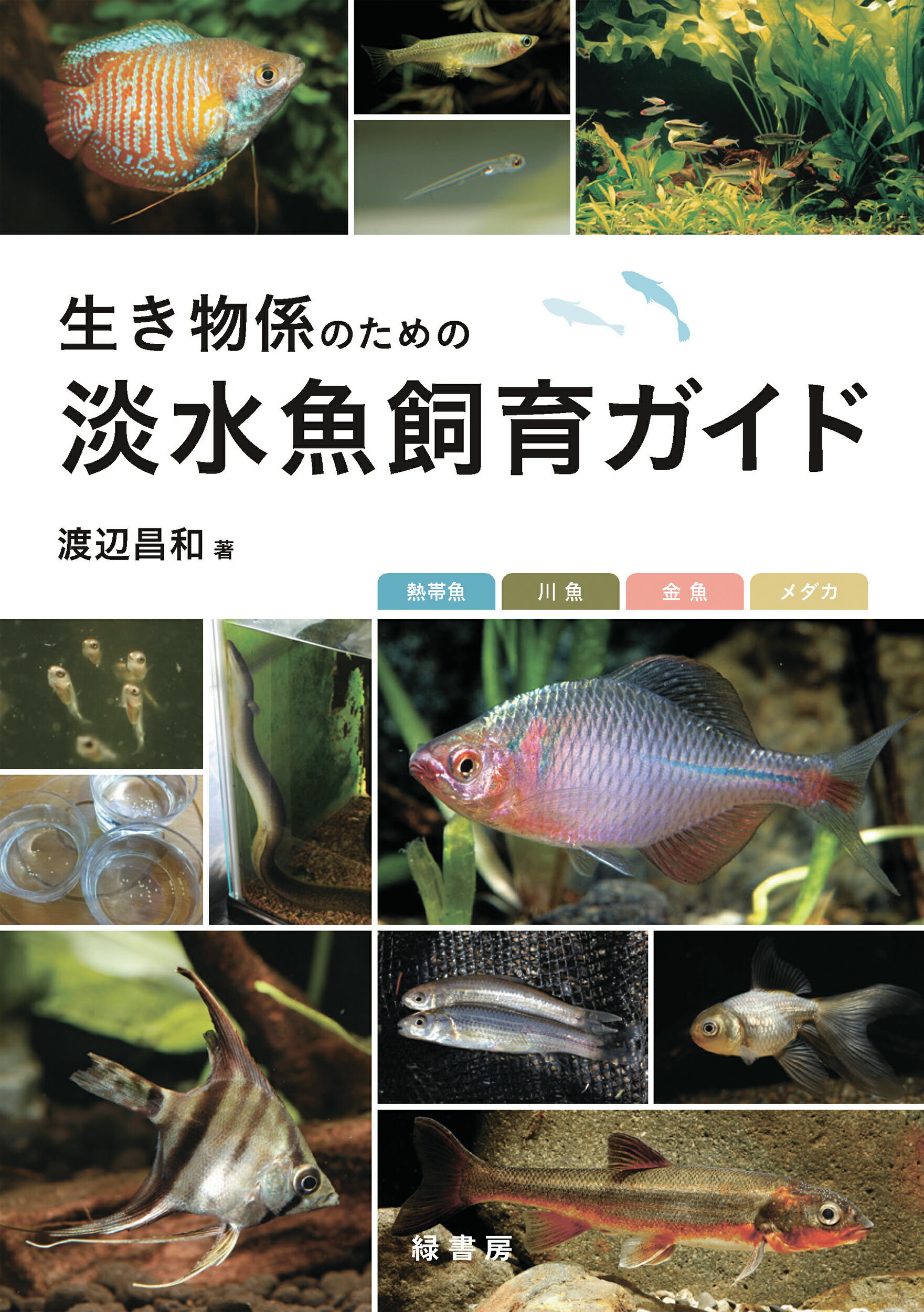 楽天市場】ピーシーズ 熱帯魚・水草3000種図鑑/ピ-シ-ズ