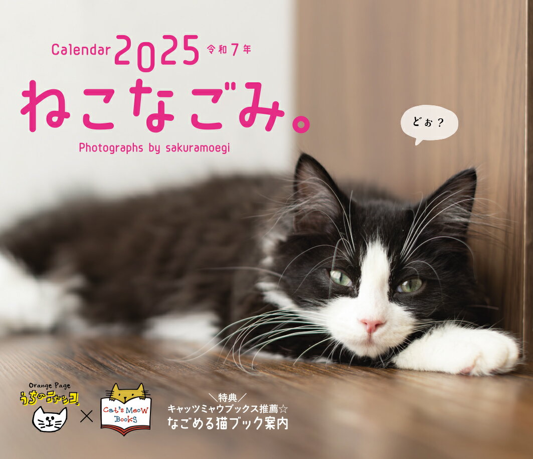 ねこなごみ。卓上カレンダー ２０２５/オレンジペ-ジ