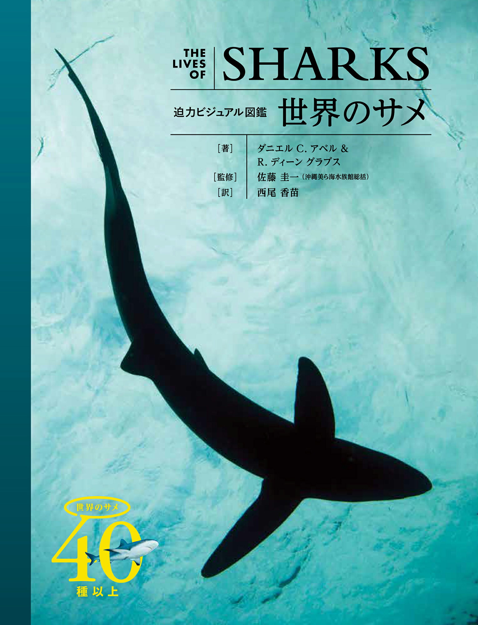 世界のクジラ・イルカ百科図鑑   新装版/河出書房新社/アナリサ・ベルタ（単行本） 世界のクジラ・イルカ百科図鑑 アナリサ・ベルタ(編) - 河出書房