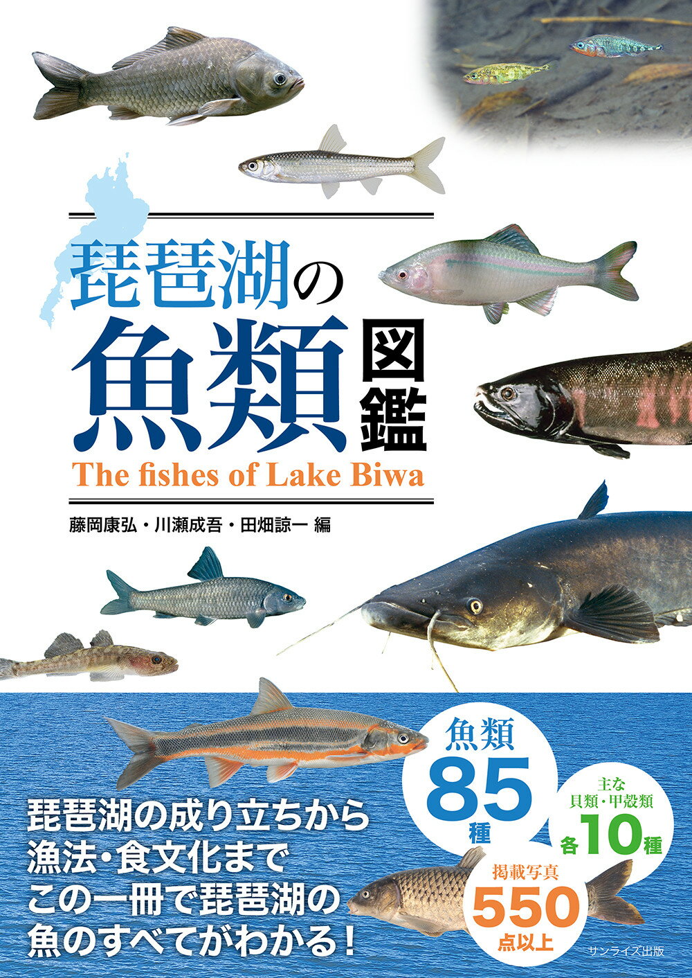 琵琶湖の魚類図鑑/サンライズ出版（彦根）/藤岡康弘