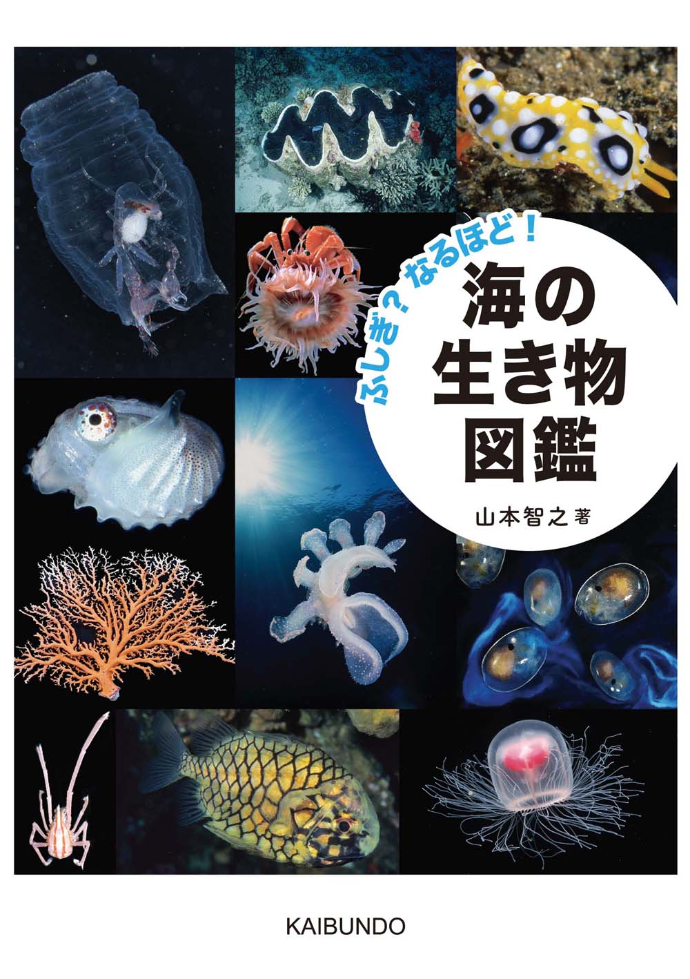 楽天市場】東京書籍 OCEAN LIFE図鑑海の生物/東京書籍