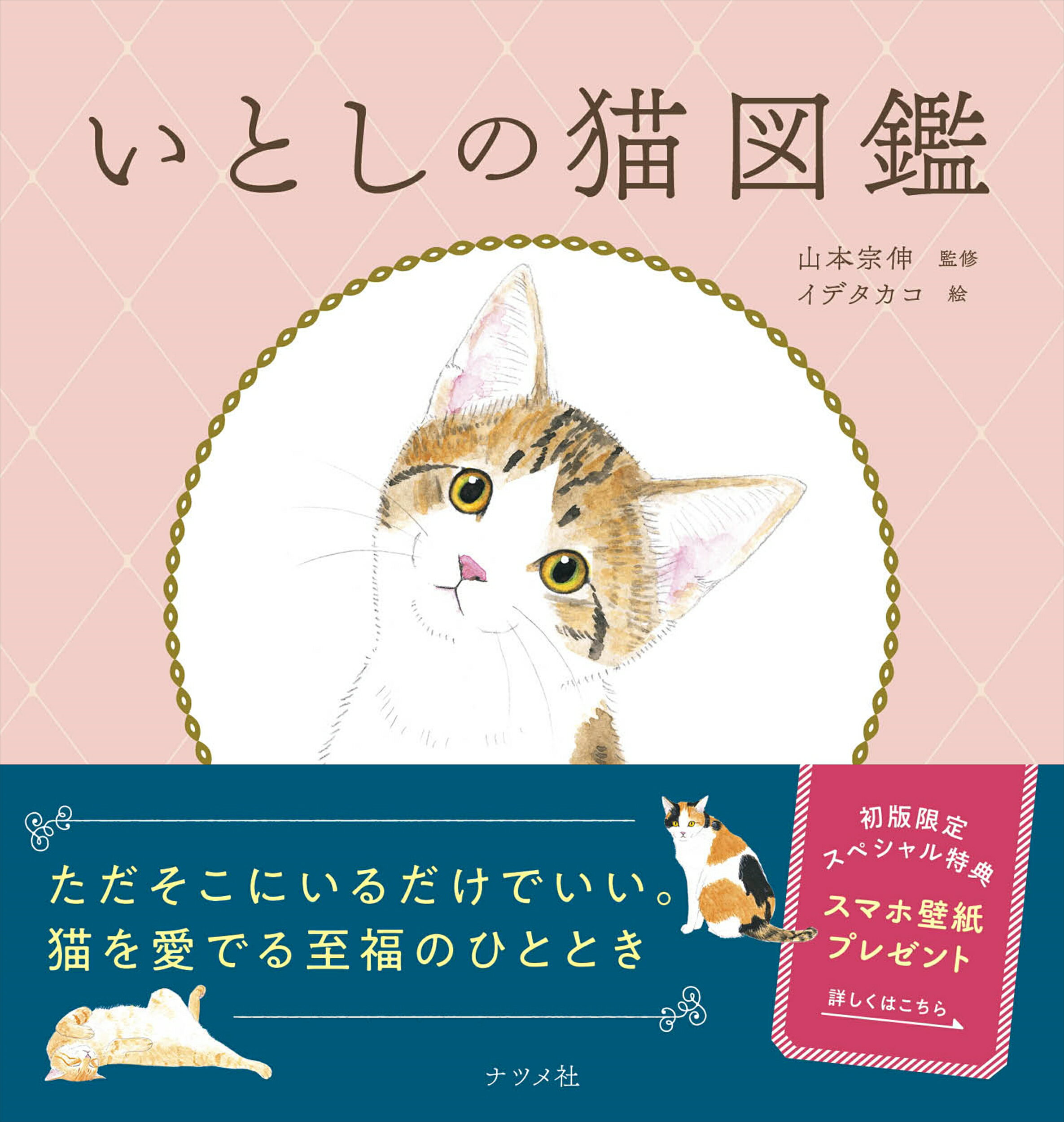 楽天市場】イラストを読む！犬と猫の臨床外科 一次診療いますぐできる