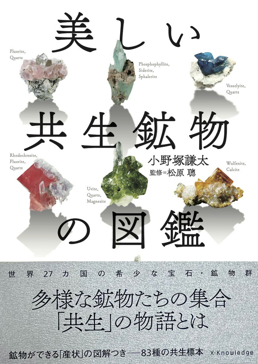 楽天市場】日刊工業新聞社 鉱物資源百科辞典/日刊工業新聞社
