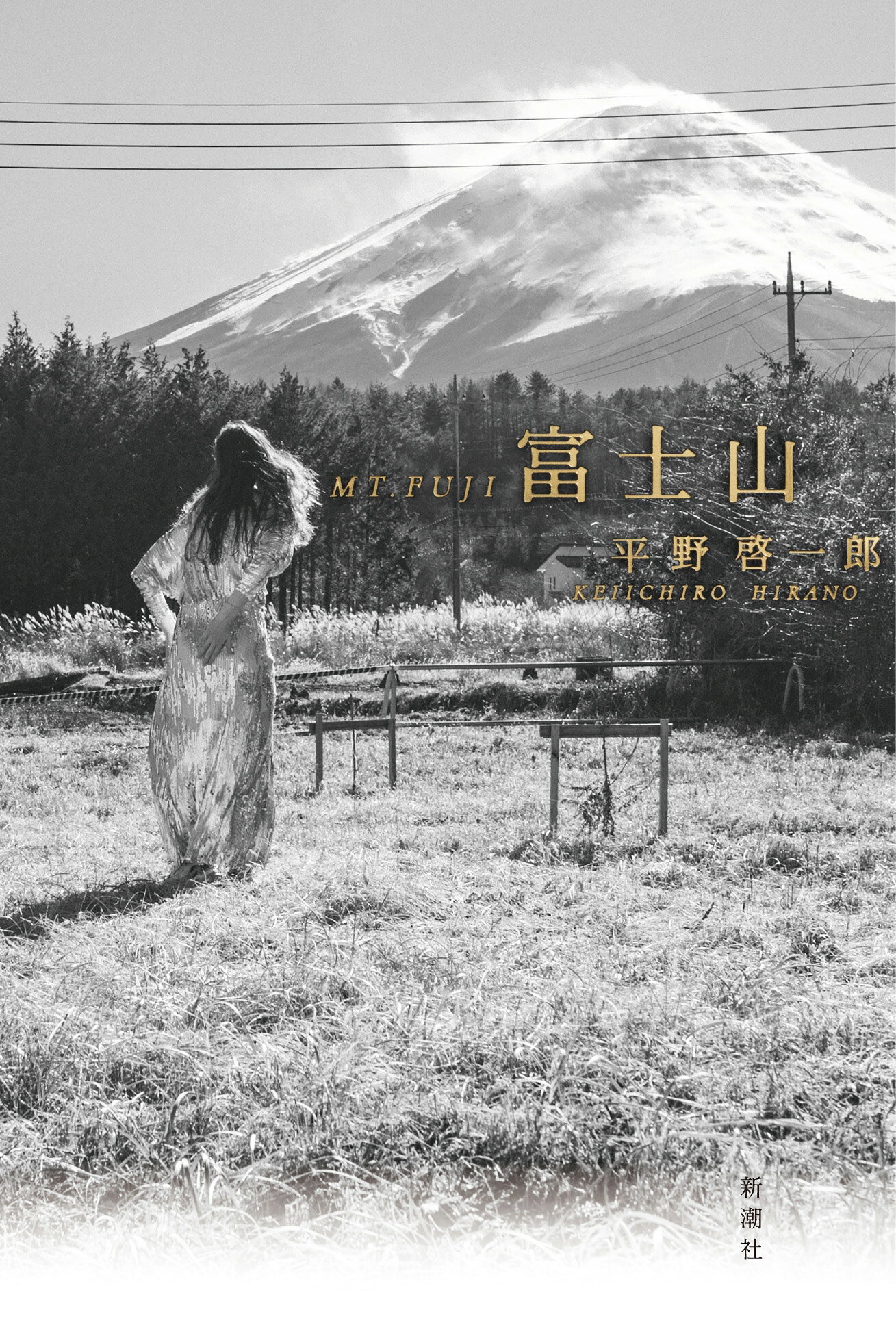 富士山/新潮社/平野啓一郎