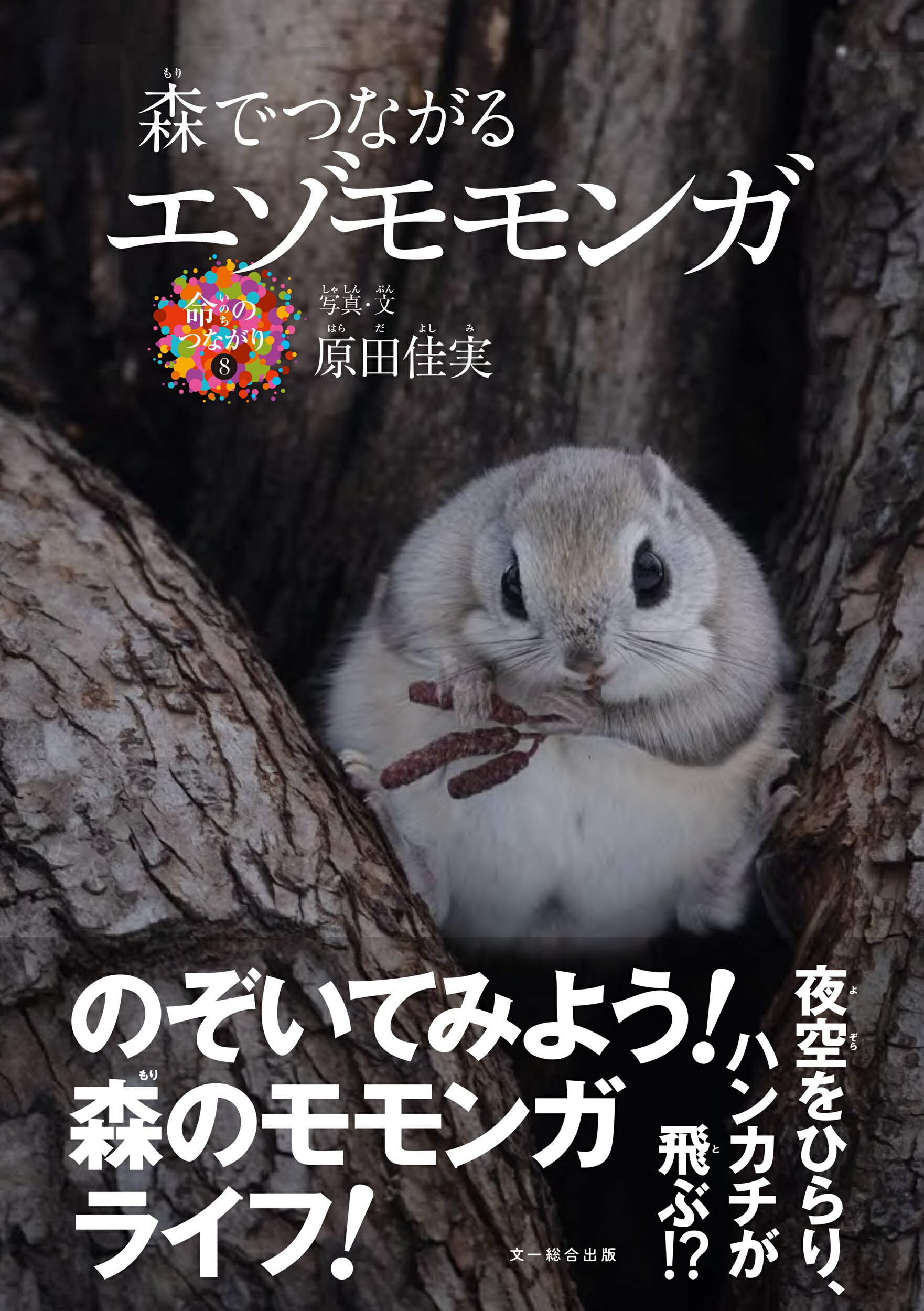 【中古】 ポケットの中の赤ちゃん/講談社/宇野和子 Amazon.co.jp: ポケットの中の赤ちゃん : 宇野 和子: 本
