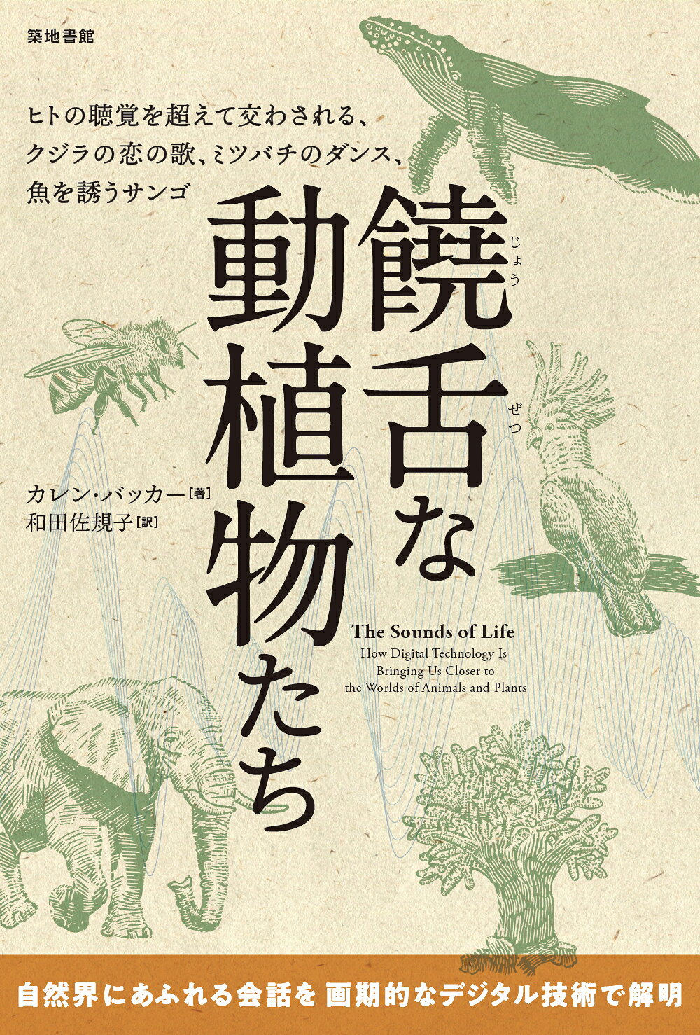 楽天市場】朝倉書店 古生物学事典 普及版/朝倉書店/日本古生物学会