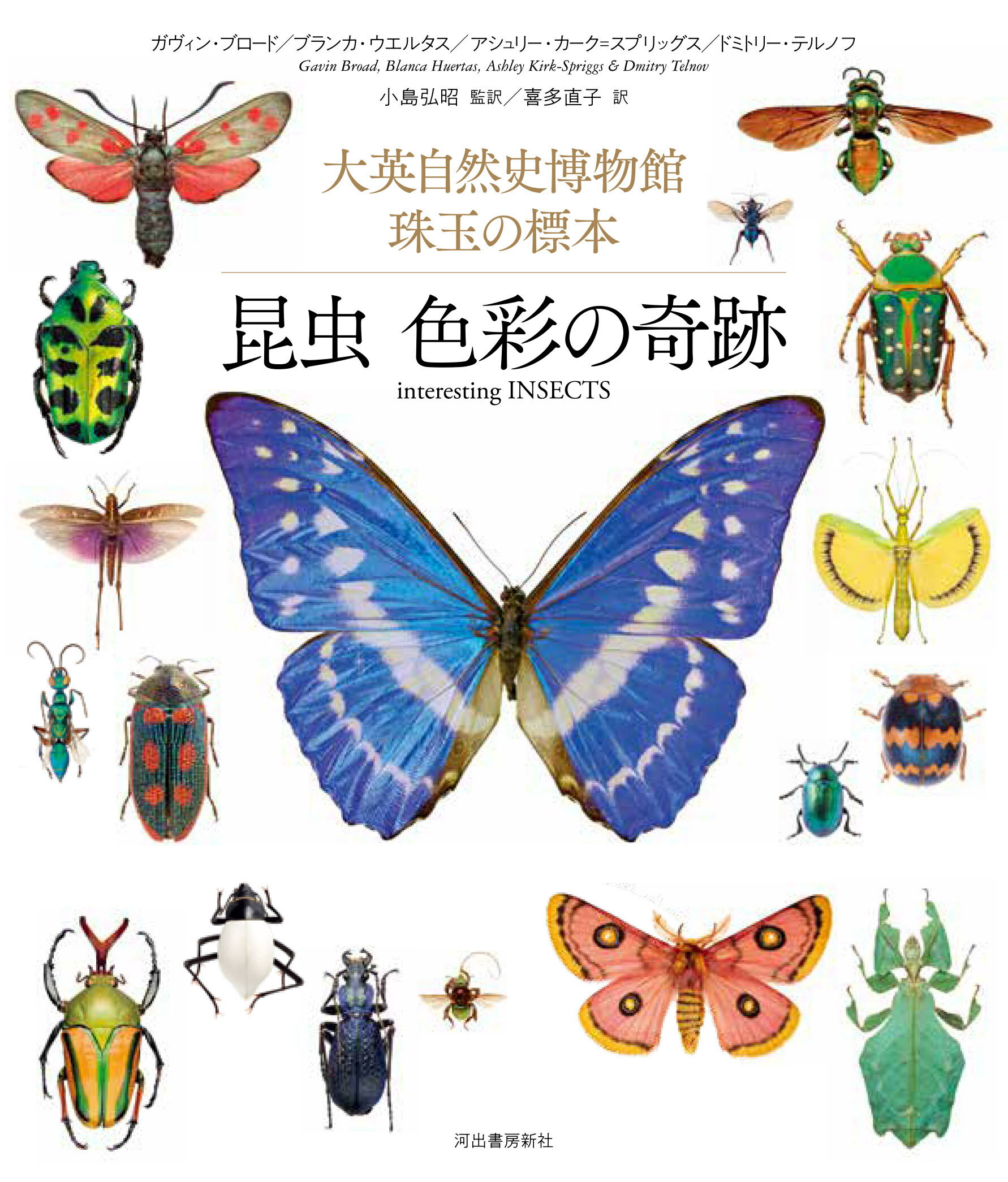 昆虫　色彩の奇跡 大英自然史博物館　珠玉の標本/河出書房新社/ガヴィン・ブロード