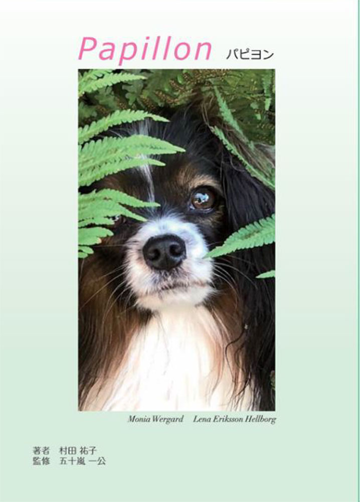 Ｐａｐｉｌｌｏｎ　パピヨン/そらの子出版/村田祐子