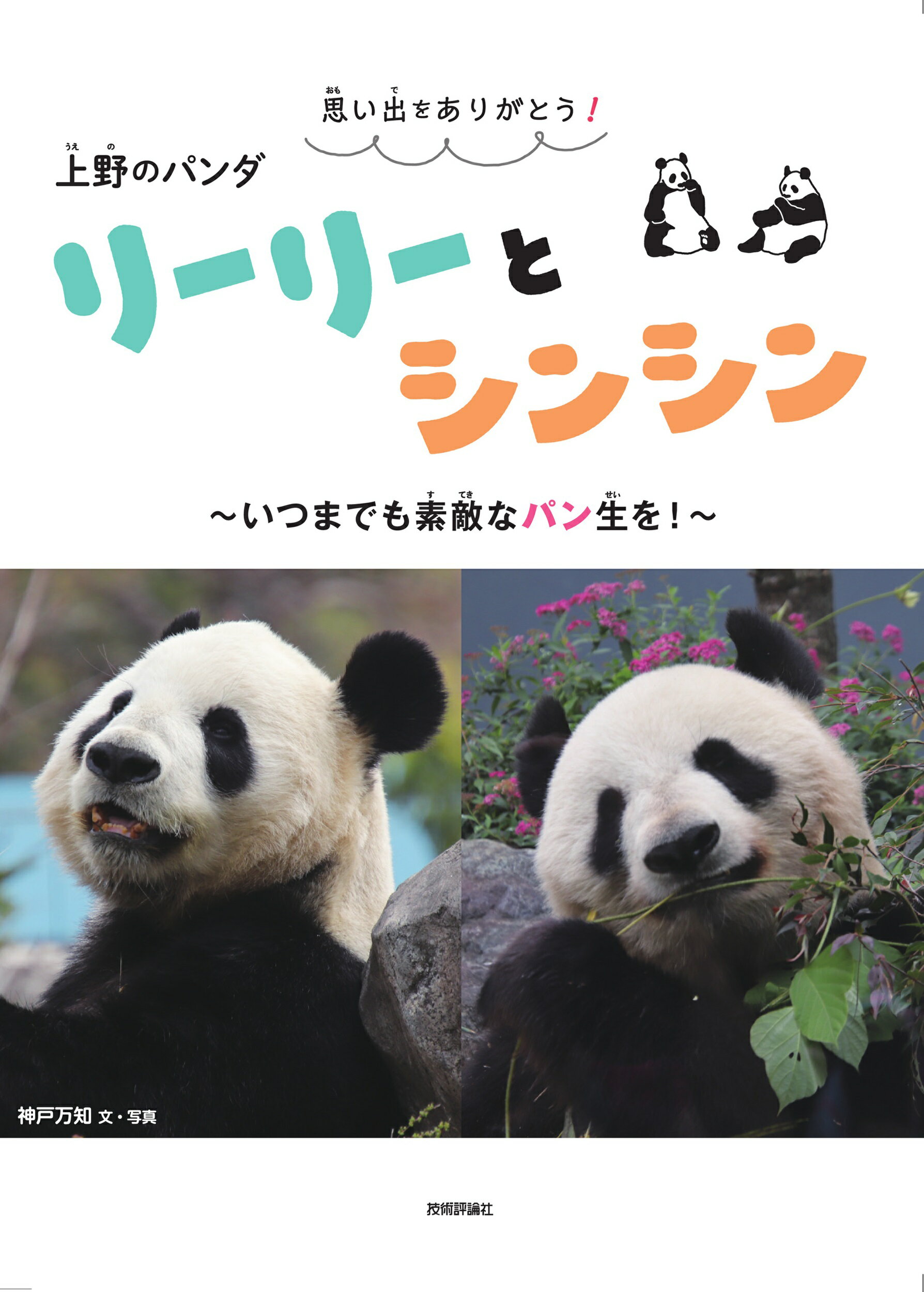 楽天市場】ありがとう！パンダ タンタン 激動のパン生～懸命に