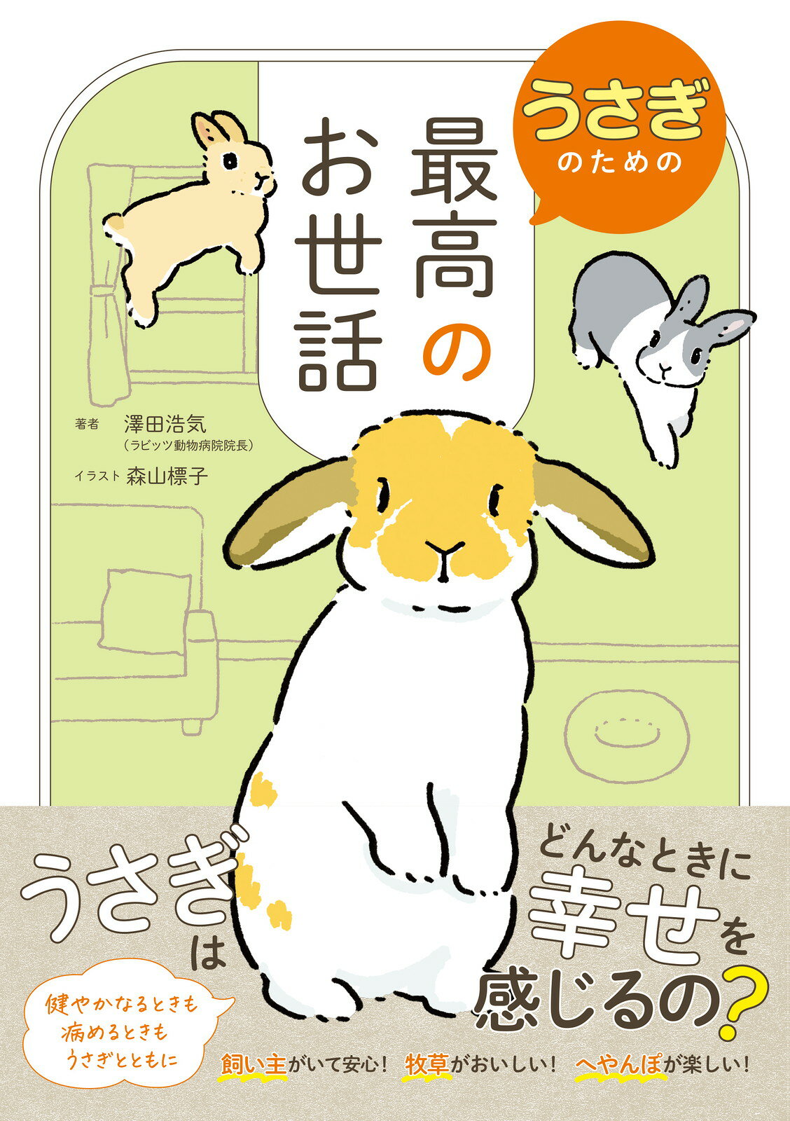 楽天市場】グラフィック社 うさぎのヒミツ/グラフィック社/樋口悦子