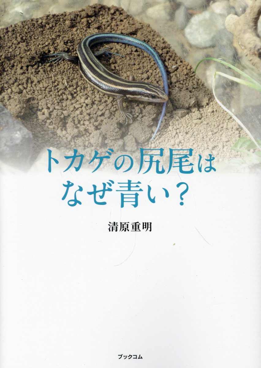 トカゲの尻尾はなぜ青い？/ブックコム/清原重明