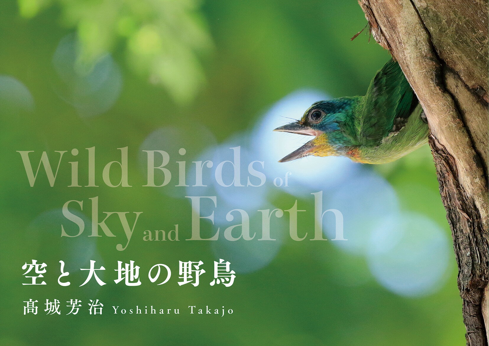 空と大地の野鳥 Ｗｉｌｄ　Ｂｉｒｄｓ　ｏｆ　Ｓｋｙ　ａｎｄ　Ｅａｒ/東方出版（大阪）/高城芳治