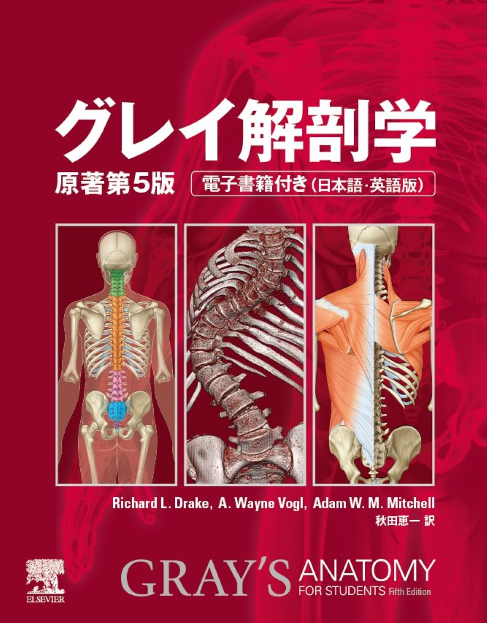 美品　解剖実習の手びき　改訂11版　南山堂 解剖実習の手びき 第11版【電子版】 | 医書.jp