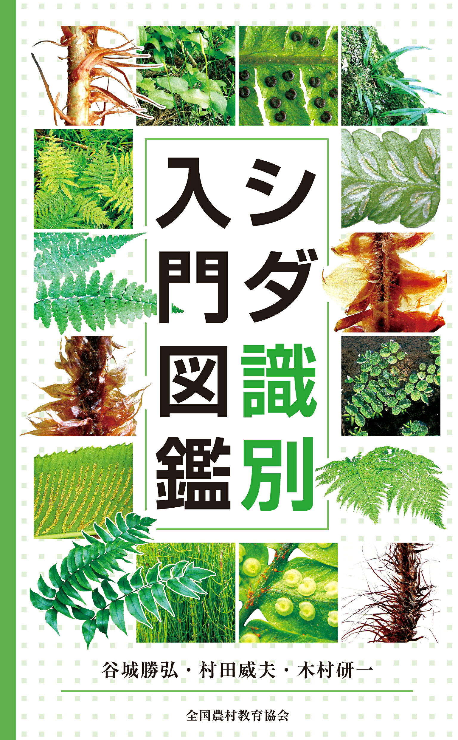 最新 樹木医の手引き 改訂4版 楽天市場】日本緑化センター 最新・樹木医の手引き 改訂4版/日本緑化