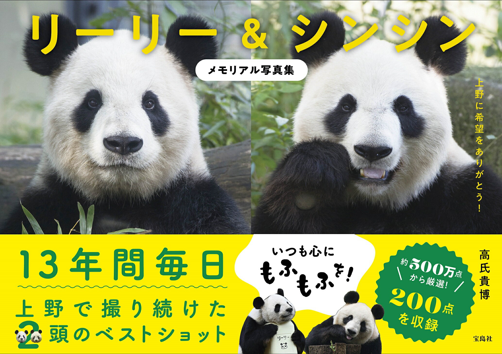 リーリー＆シンシン　メモリアル写真集/宝島社/高氏貴博