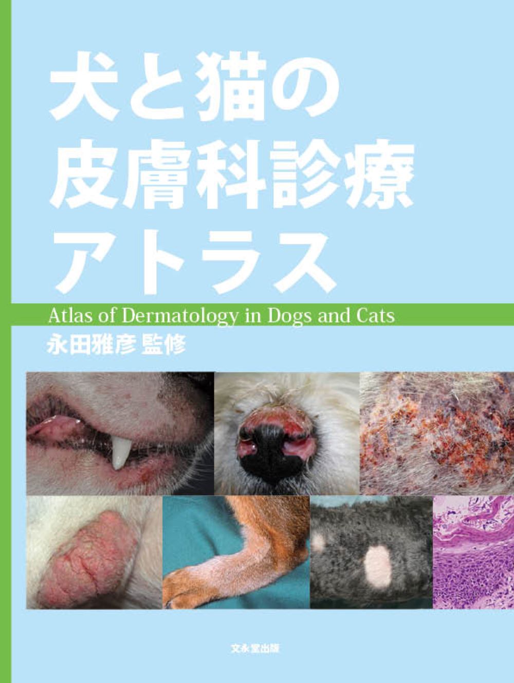 楽天市場】自然社 犬と猫のフィジカルアセスメント 視診・触診・聴診の