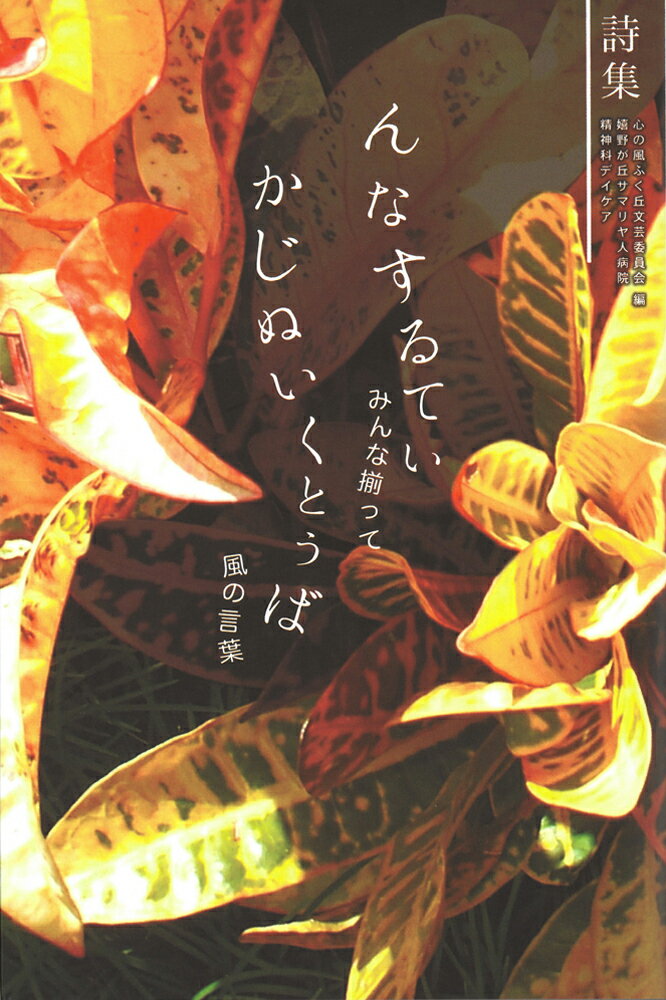 詩集んなするてぃかじぬいくとぅば みんな揃って風の言葉/ボ-ダ-インク/心の風ふく丘文芸委員会
