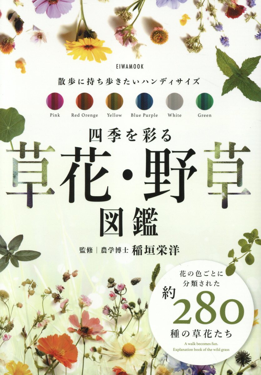 楽天市場】海游舎 蜂からみた花の世界 四季の蜜源植物とミツバチ