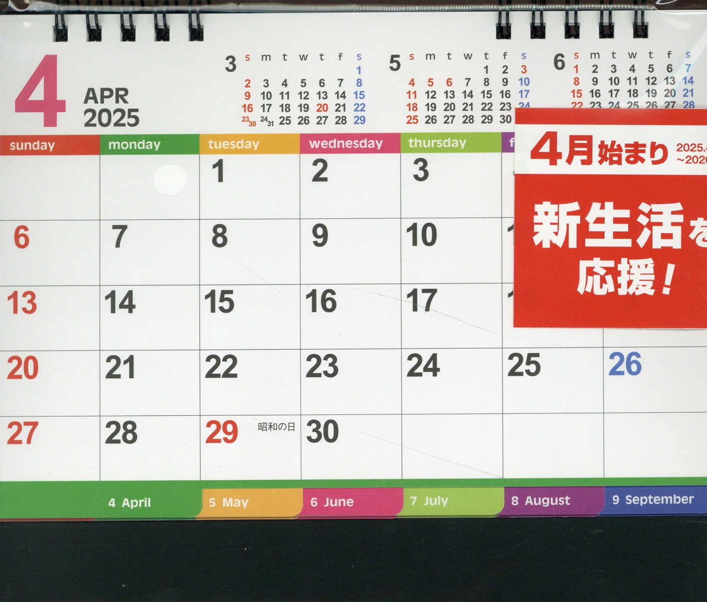 ４月始まり卓上カレンダー ２０２５/神宮館