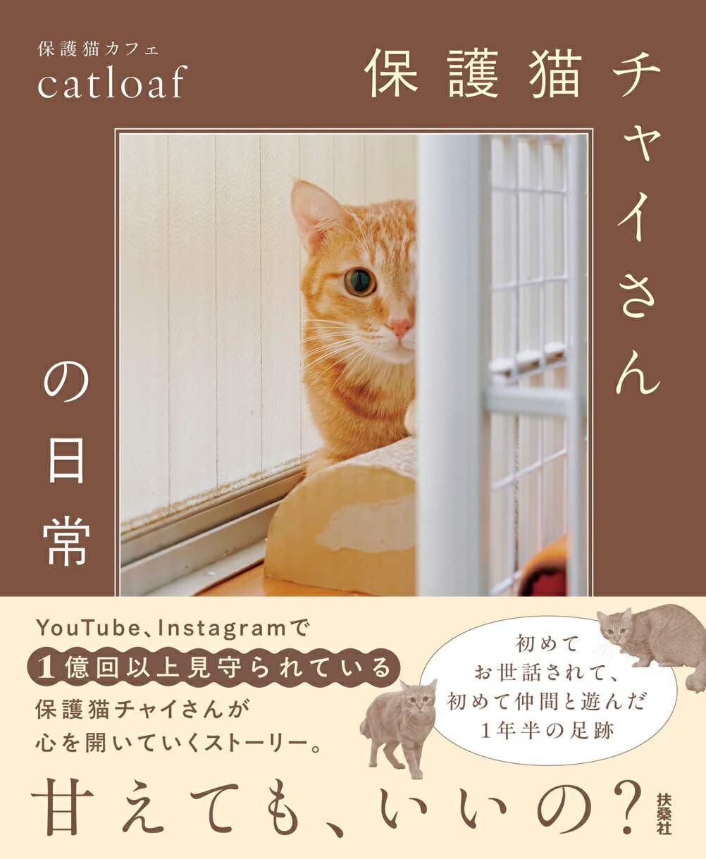保護猫チャイさんの日常/扶桑社/保護猫カフェｃａｔｌｏａｆ
