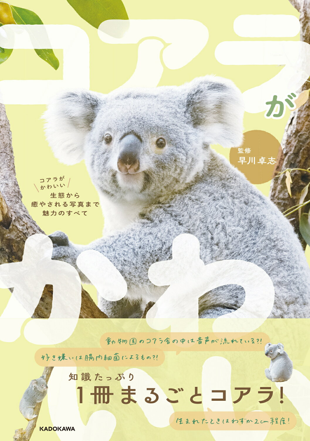 楽天市場】学研マーケティング 天皇の秘儀と秘史 「正統竹内文書」伝承