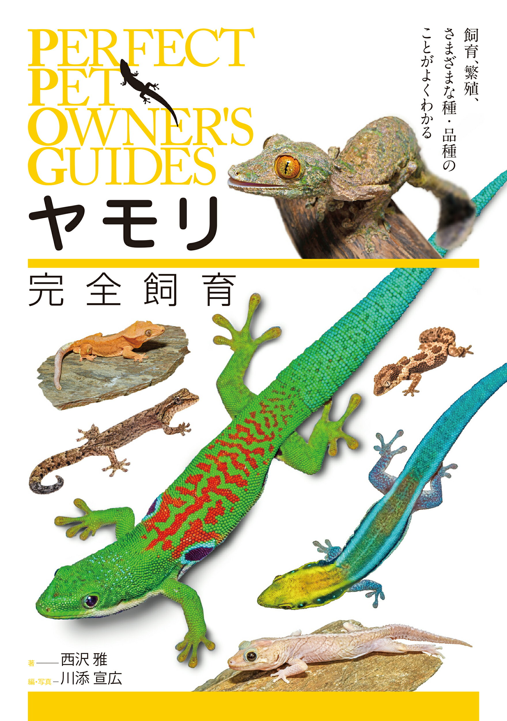 楽天市場】誠文堂新光社 ヒョウモントカゲモドキ品種図鑑 飼育前の個体