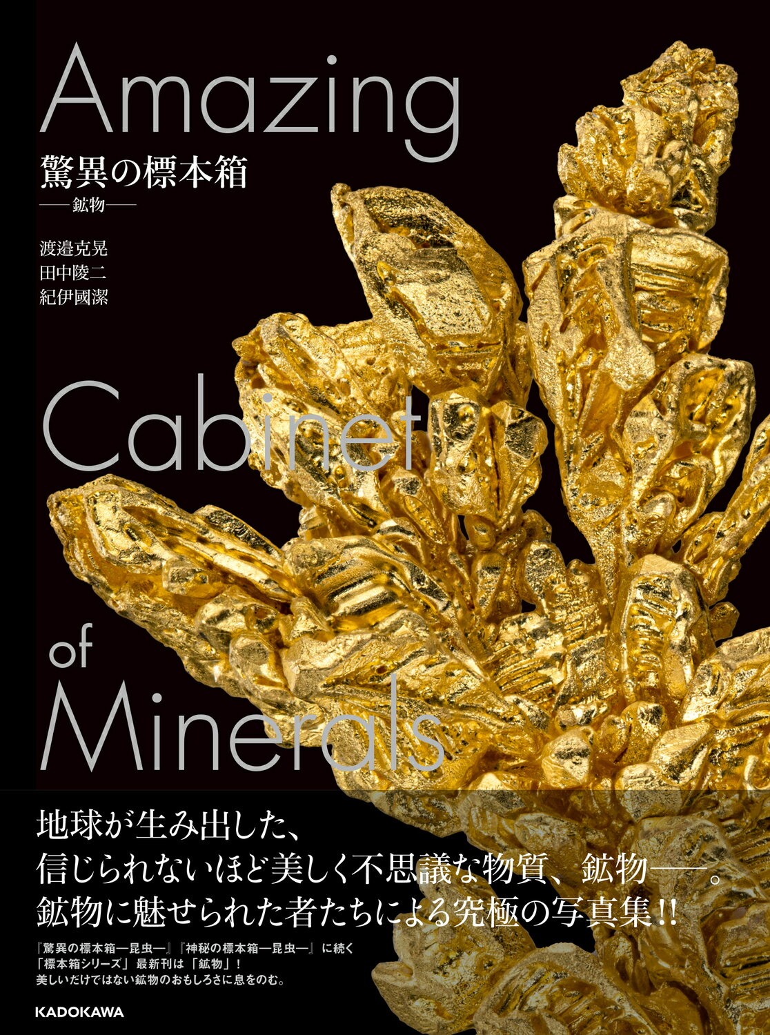 楽天市場】朝倉書店 熱河生物群化石図譜 羽毛恐竜の時代/朝倉