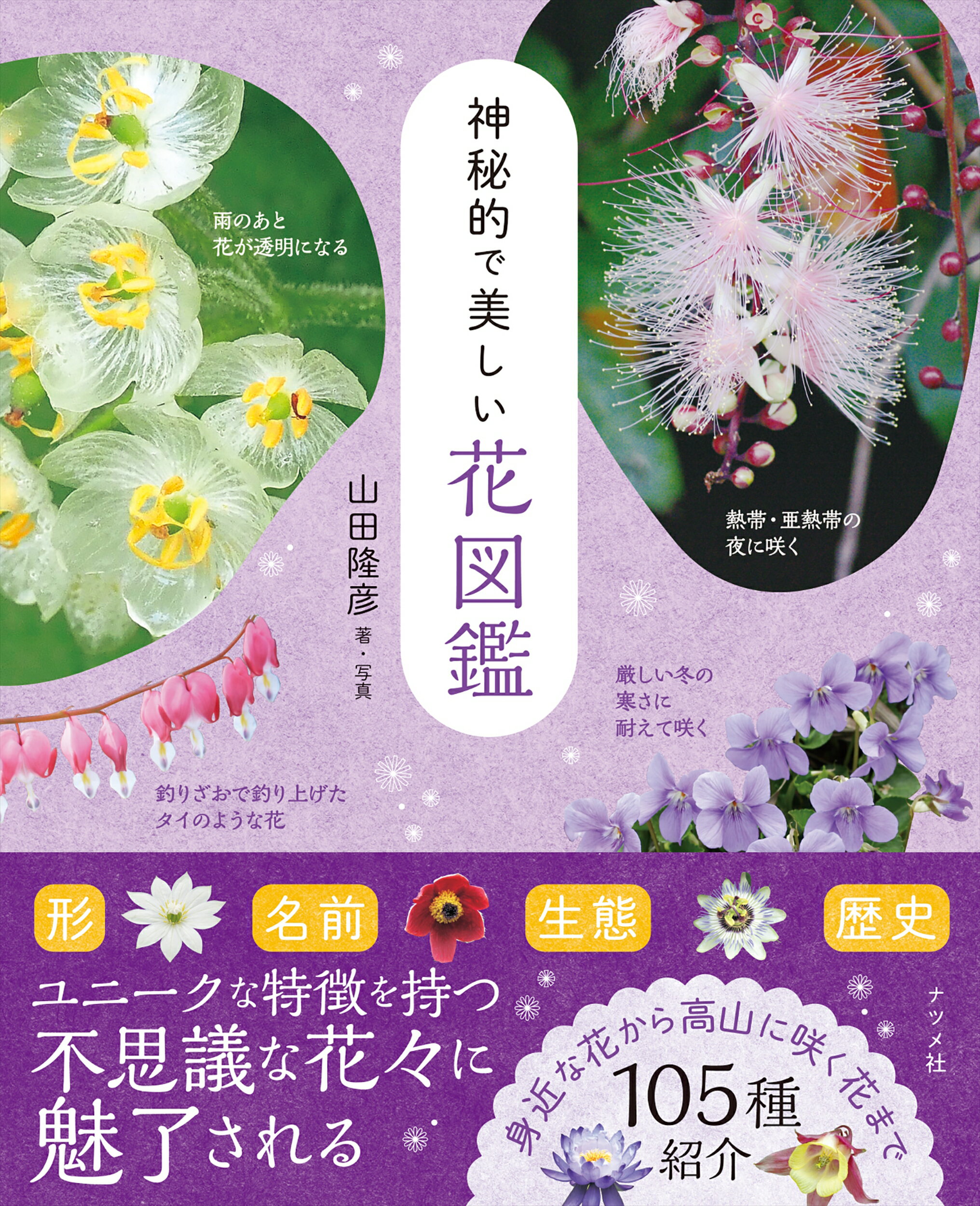 楽天市場】海游舎 蜂からみた花の世界 四季の蜜源植物とミツバチ