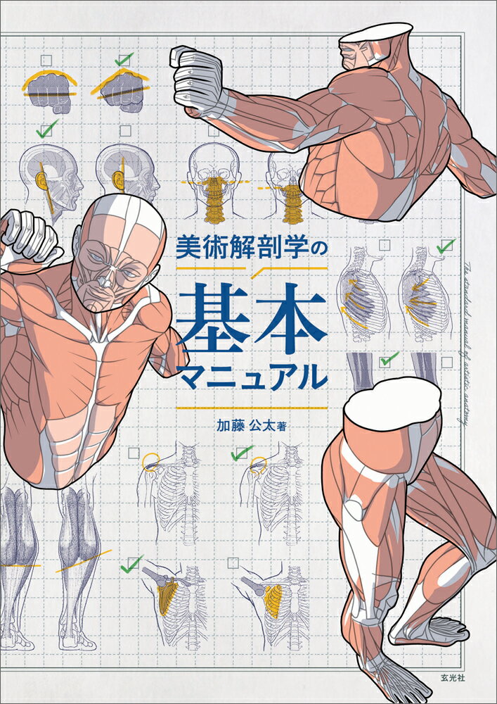 楽天市場】ボーンデジタル ドーロの美術解剖学講義録/ボ-ン