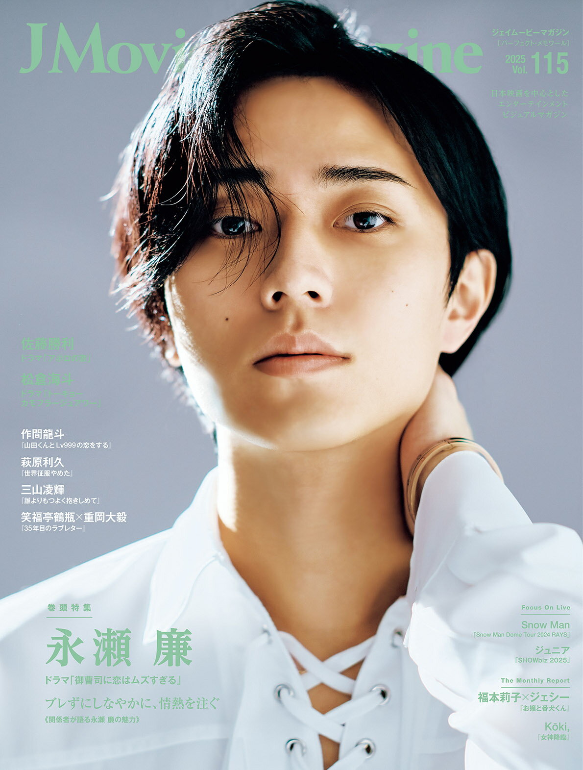 Ｊ　Ｍｏｖｉｅ　Ｍａｇａｚｉｎｅ 日本映画を中心としたエンターテインメントビジュアル Ｖｏｌ．１１５/リイド社