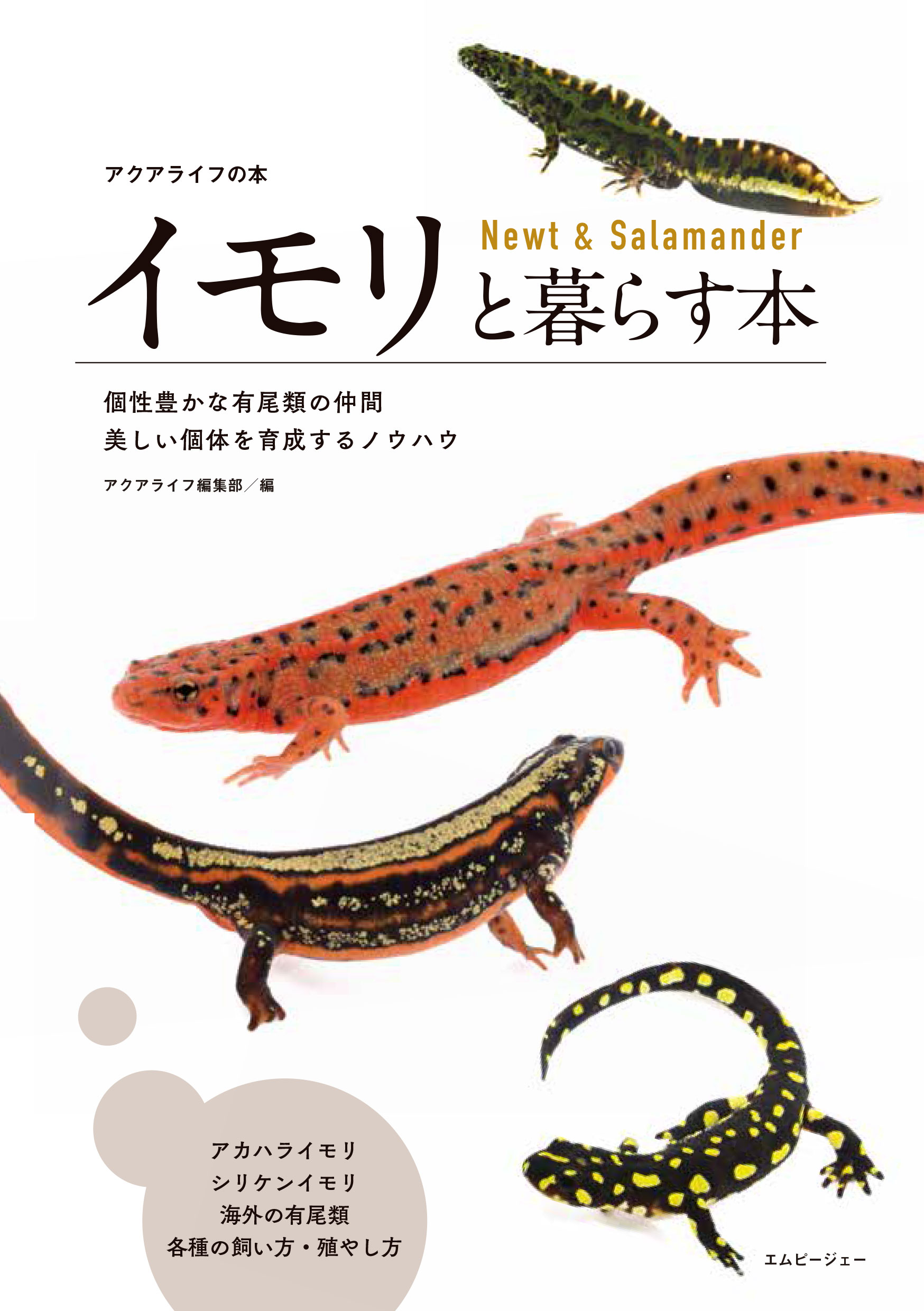 楽天市場】笠倉出版社 有尾類の教科書 イモリ・サンショウウオの仲間の