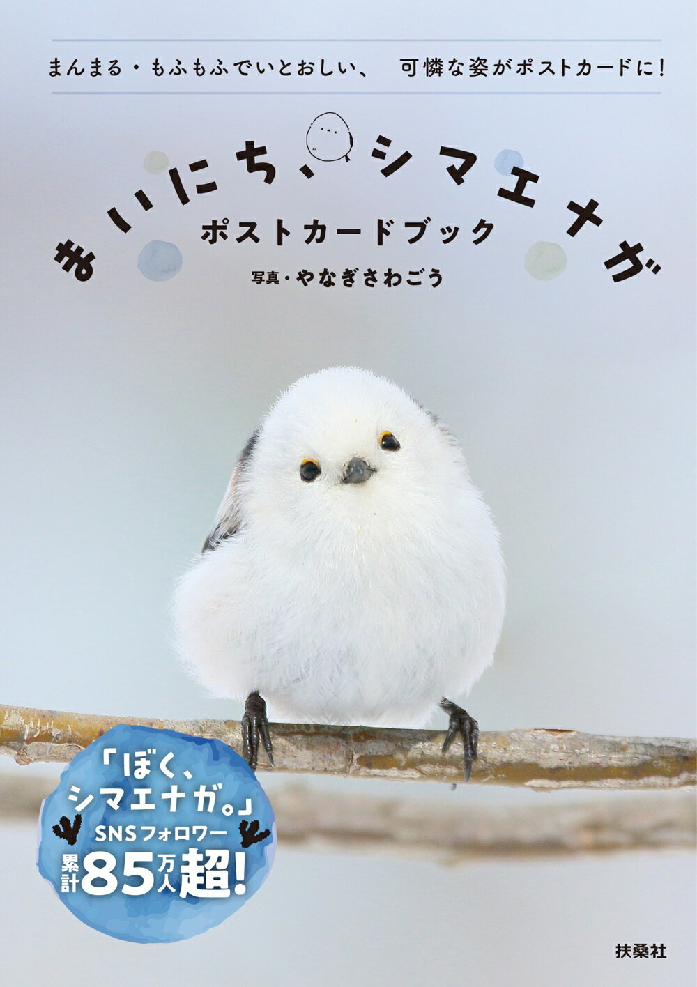 まいにち、シマエナガ　ポストカードブック/扶桑社/やなぎさわごう