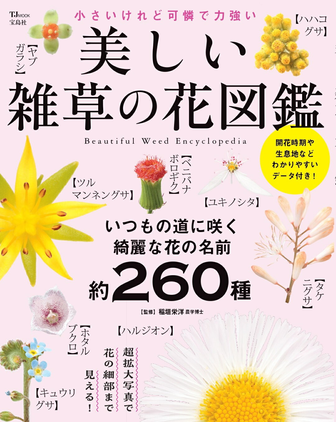 楽天市場】海游舎 蜂からみた花の世界 四季の蜜源植物とミツバチ
