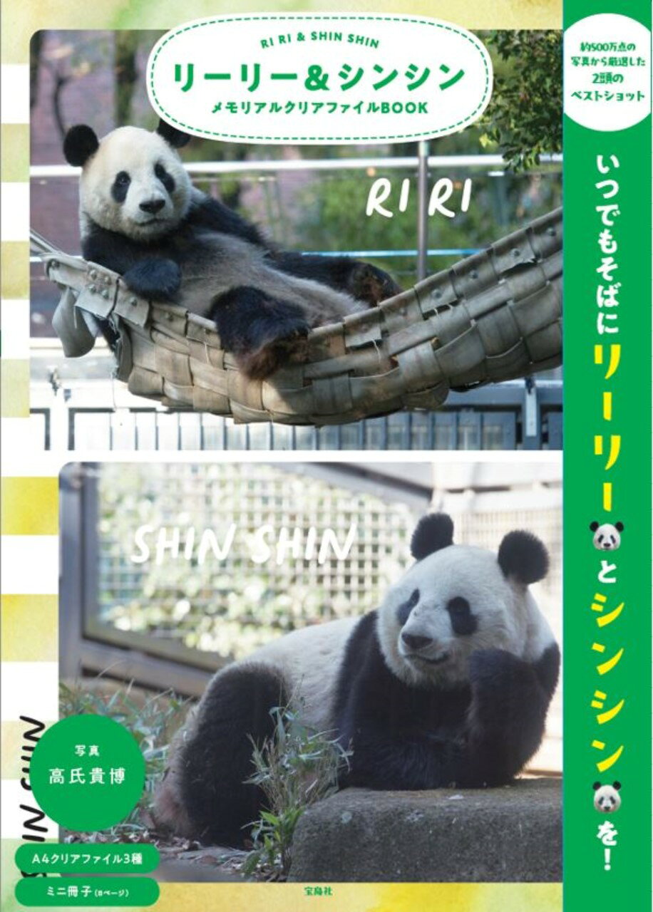 リーリー＆シンシンメモリアルクリアファイルＢＯＯＫ/宝島社/高氏貴博