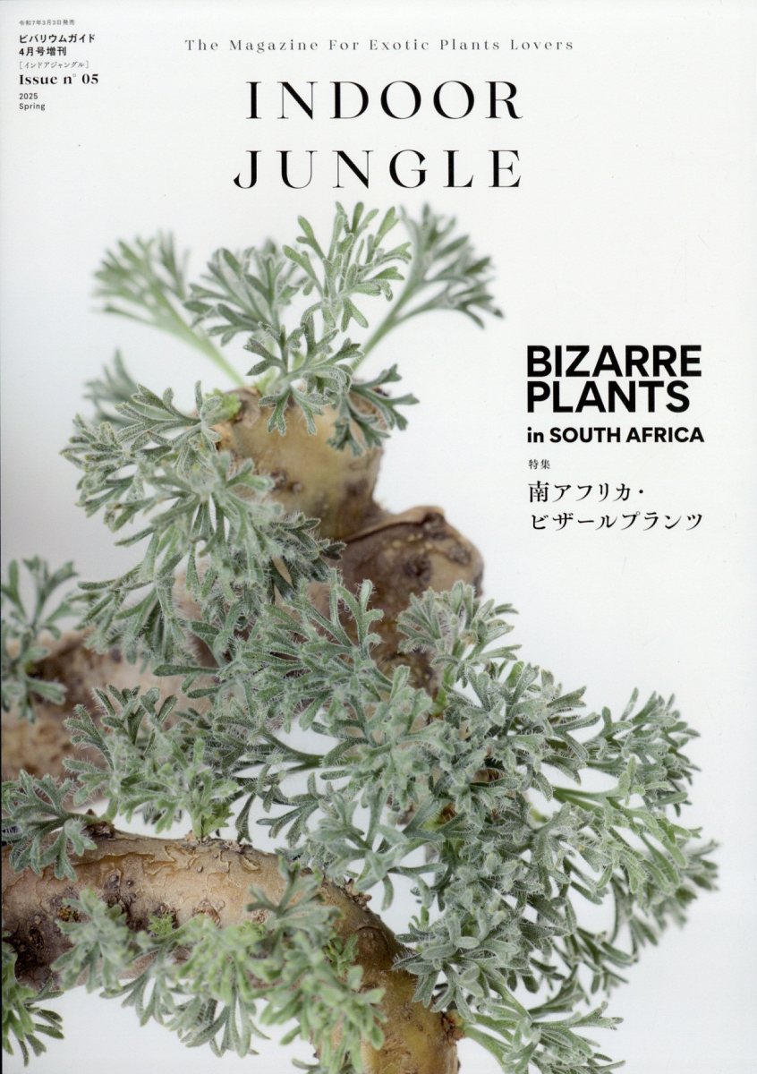 楽天市場】INDOOR JUNGLE No.02 2024年 04月号 [雑誌]/エムピージェー