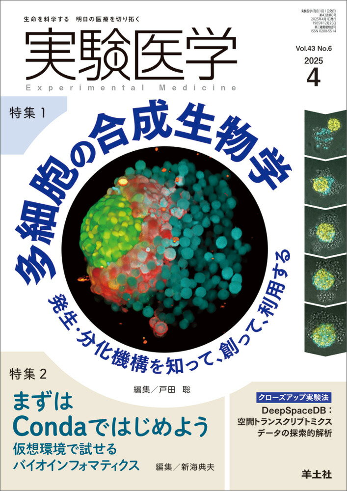 実験医学 生命を科学する明日の医療を切り拓く Ｖｏｌ．４３　Ｎｏ．６（２０２/羊土社/戸田聡