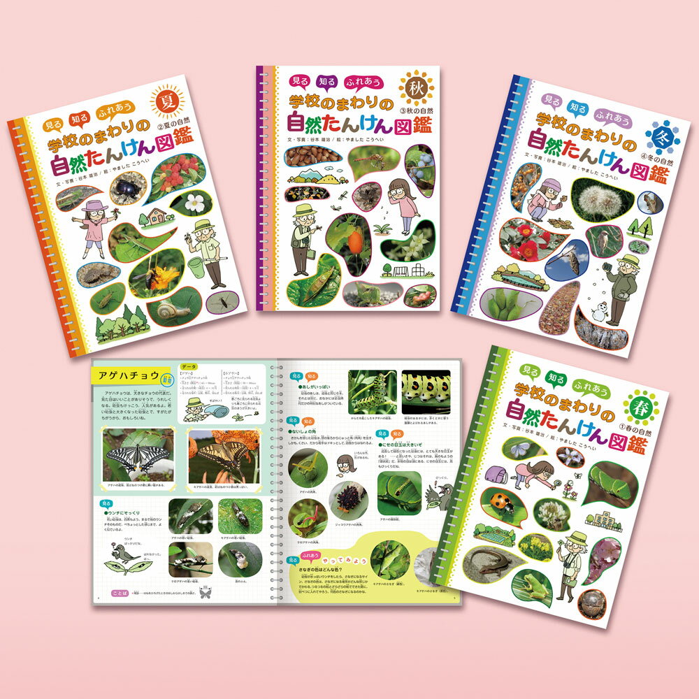 つぼみ・たね・はっぱ・・・しょくぶつ　これ、なあに？（全７巻セット） 図書館用特別堅牢製本図書/ポプラ社/斎木健一（単行本） つぼみ・たね・はっぱ・・・しょくぶつ これ、なあに？（全7巻