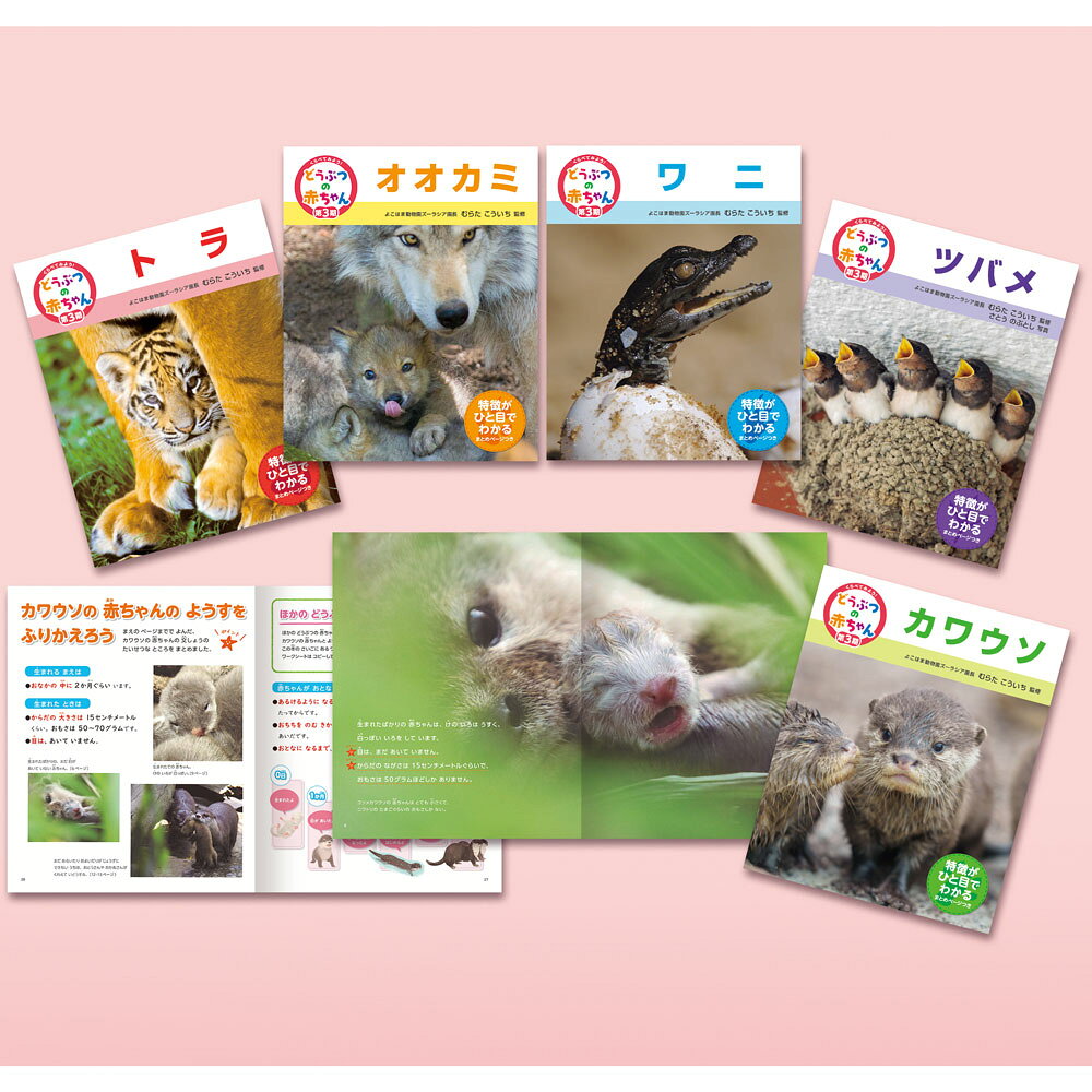 教科書にのってるどうぶつの赤ちゃん　全6巻セット 楽天市場】偕成社 教科書にのってるどうぶつの赤ちゃん（全6巻