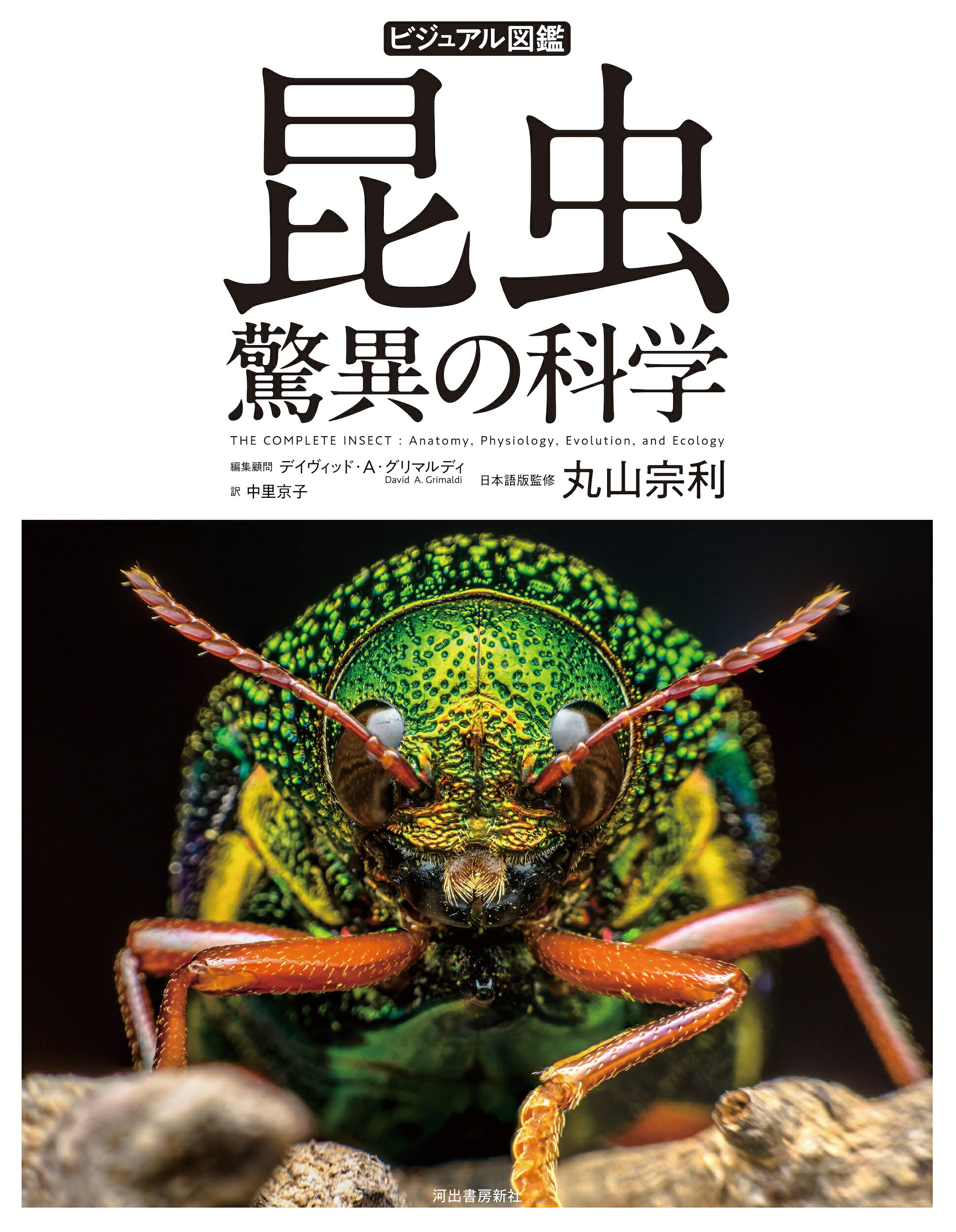 ビジュアル図鑑　昆虫　驚異の科学/河出書房新社/デイヴィッド・Ａ．グリマルディ