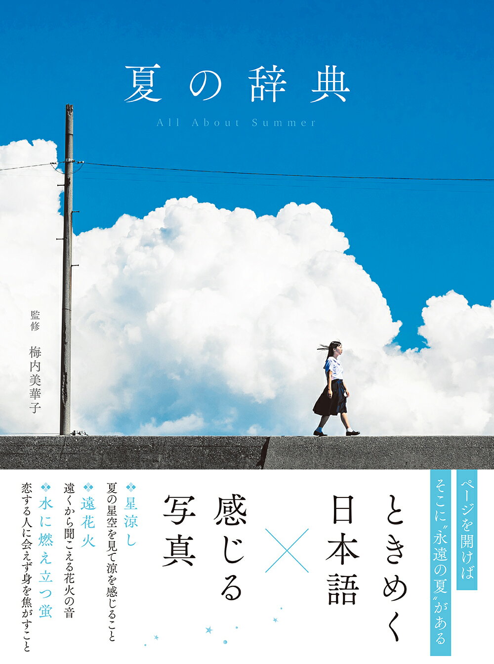 夏の辞典/リベラル社/梅内美華子
