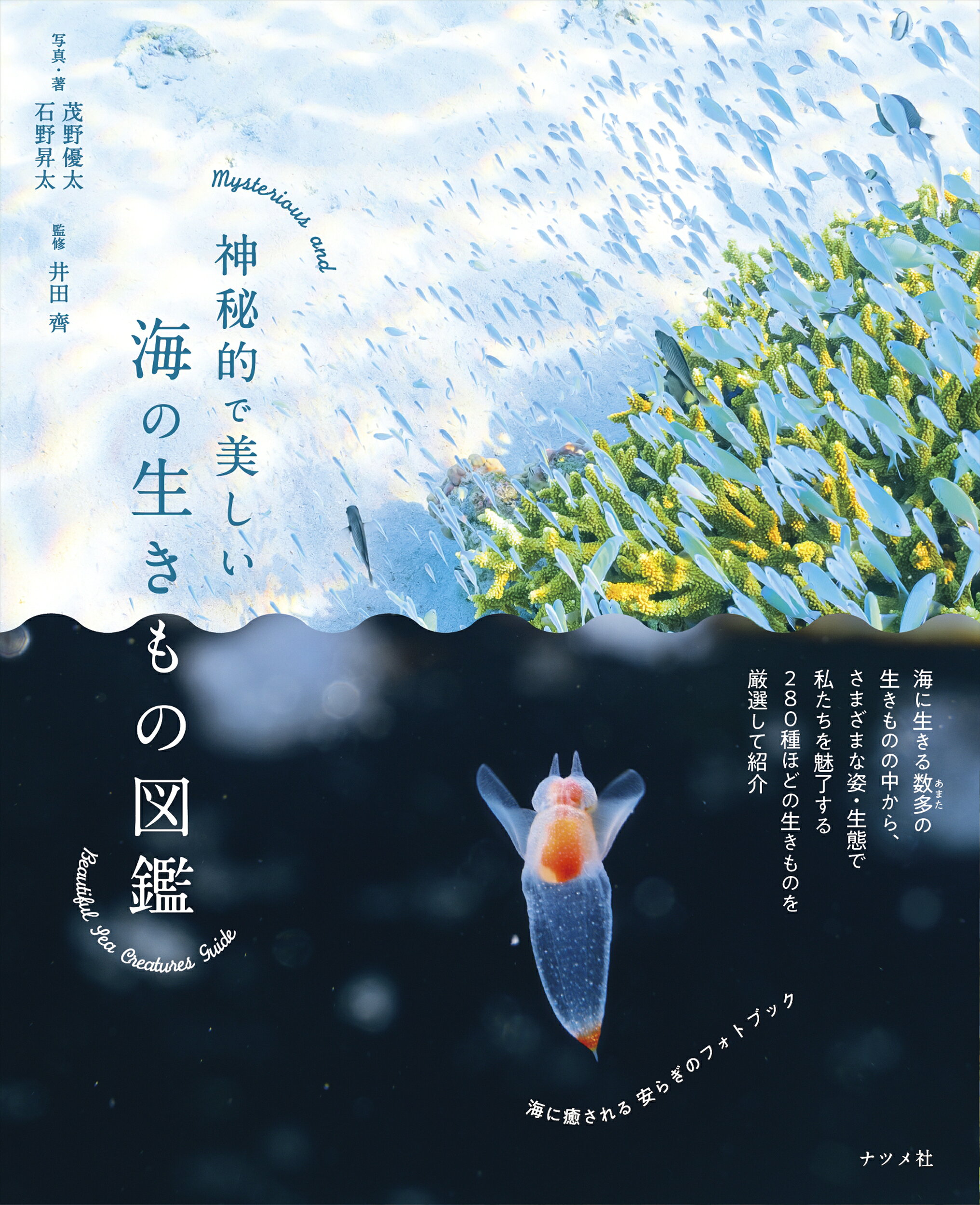 楽天市場】新潮社 地球巡礼/新潮社/野町和嘉 | 価格比較 - 商品価格ナビ