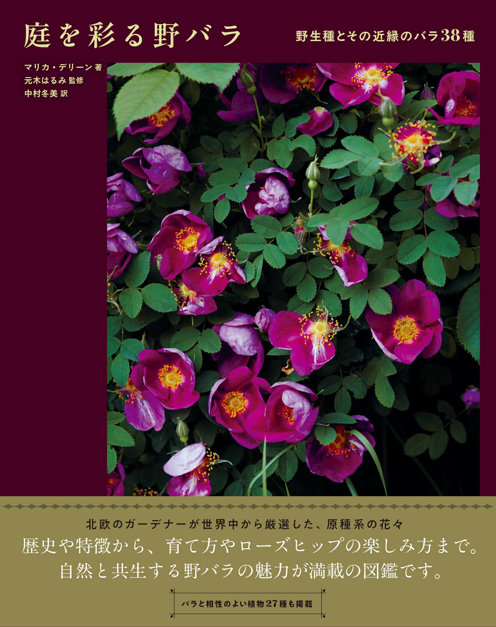 庭を彩る野バラ 野生種とその近縁のバラ３８種/グラフィック社/マリカ・デリーン