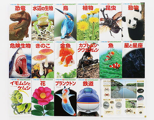 楽天市場】小学館 小学館の図鑑NEO（全8巻セット）/小学館 | 価格